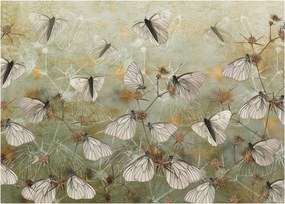 Kép - szüret lepkék (üvegen) (70x50 cm)