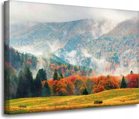 Vászonkép Hegy Erdők Rétek Felhők Természet 70x50 cm Ideális ajándék