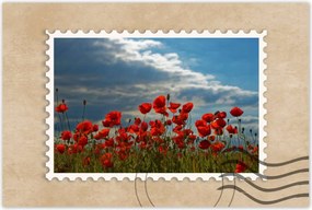 Poszterek 90x60 Pipacs Virágok