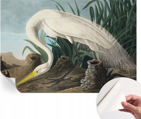 Divatos öntapadós fali tapéta Furnér Fenséges kócsag 152x104 cm