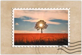 Poszterek 60x40 Kilátás Tájkép