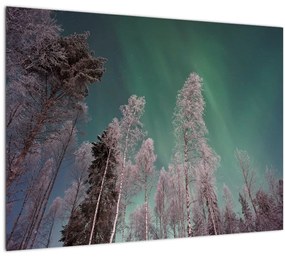 Az aurora borealis képe fagyos fák felett (üvegen) (70x50 cm)