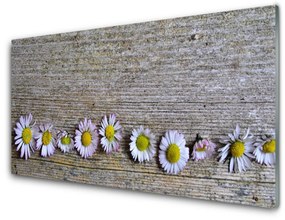 Akrilkép Daisy növény természet 100x50 cm 2 fogas