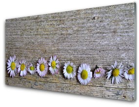 Akrilkép Daisy növény természet 100x50 cm