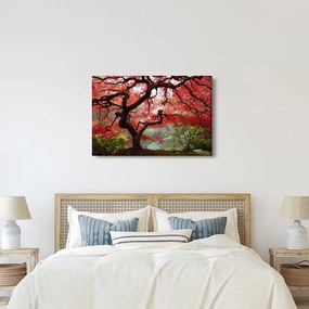 Red Japanese Maple, Portland, Oregon képe (90x60 cm)