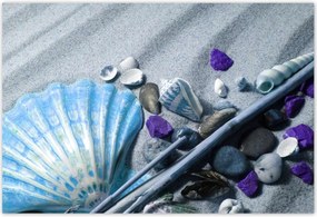 Poszterek 200x135 Kompozíció kagylóval