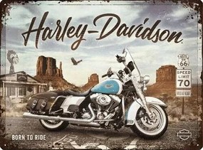 Fém tábla Harley-Davidson - King of Route 66, (40 x 30 cm)