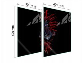 Üveg Tűzhelyvédő Főzőlap 70x52 Hal Edzett Üveg