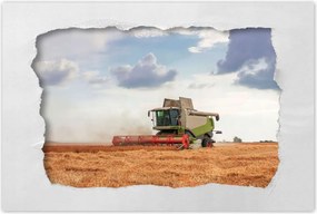 Poszterek 90x60 Kombájn a gabonamezőn