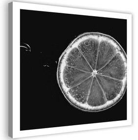 Gario Vászonkép Citrom szelet fekete-fehér Méret: 30 x 30 cm