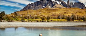 Kép - Torres del Paine Nemzeti Park (120x50 cm)