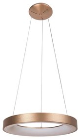 Rabalux - LED Csillár zsinóron CARMELLA LED/50W/230V átm. 60 cm