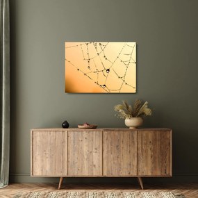 Egy harmatos pókháló képe (üvegen) (70x50 cm)