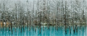 Kép - Türkiz tó, Biei, Japán (120x50 cm)
