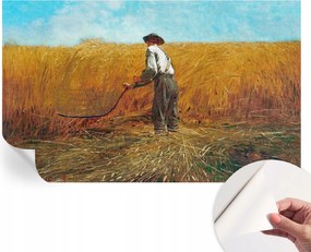 Modern öntapadós fotótapéta falra Szüret a napsütésben 416x254 cm