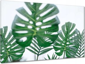 Vászonkép 120x80 Mosnter levelei lyukas