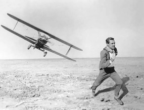 Művészeti fotózás Cary Grant, (40 x 30 cm)
