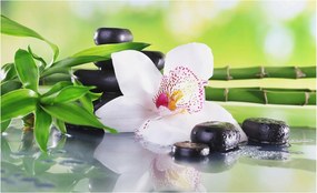 Fotótapéta Flizelin Dekoratív Hálószoba A természet nyugalma 416x254 Ragasztó