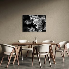 Kép - nőstény oroszlán portré (üvegen) (70x50 cm)