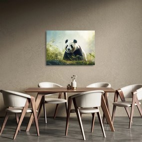 Üveg kép - Panda (70x50 cm)