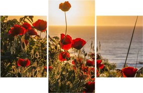 Naplemente és a pipacsok képe (90x60 cm)