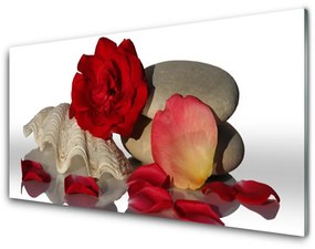 Akrilkép Rózsaszirmok Csendélet 100x50 cm