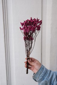 Limonium Rózsaszín stabilizált, stabilizált virágok, virágok vázába