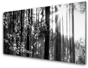 Akril üveg kép Természet Erdei fák 140x70 cm