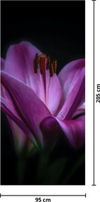 Fotótapéta ajtóra - Liliom (95x205cm)