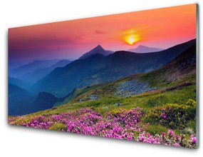 Üvegkép Mountain Meadow Virág Tájkép 100x50 cm 2 fogas