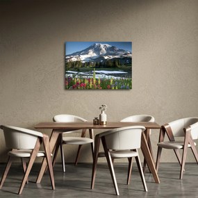Kép - Mount Rainier (70x50 cm)