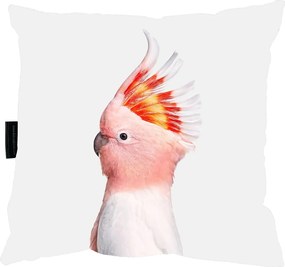 Papagáj Párna Papagáj 40x40 Ajándéknak Is tökéletes
