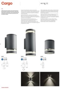 Redo 90519 - Kültéri mennyezeti lámpa CARGO 1xGU10/28W/230V IP54 antracit