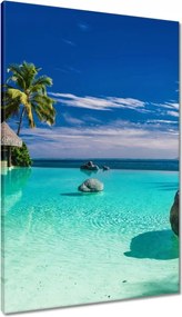 Vászonkép 60x90 Trópusok Tájkép Pálmafák