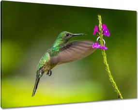 Vászonkép 100x70 Madarak