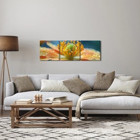 Kép - Részlet a virágból (órával) (90x30 cm)