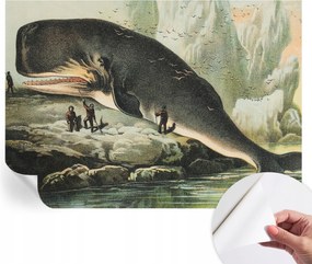 Fotótapéta Öntapadós Fali Falfestmény Tengeri óriás 312x219 cm