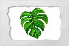 Poszterek 60x40 Modern levél kép