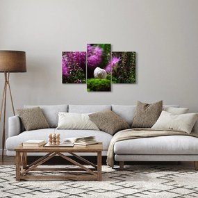 Kép - Csigaház (90x60 cm)