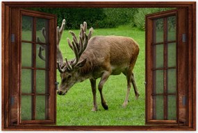 Poszterek 120x80 Szarvas felszarvazott