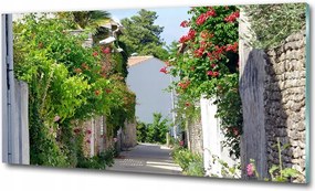 Fotótapéta üvegfalra Virágos sikátor 100x50