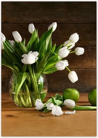 Poszterek A4 Pion Fehér tulipánok