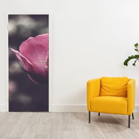 Fotótapéta ajtóra - Rózsavirág részlete (95x205cm)