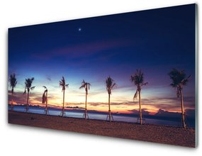 Üvegkép Pálmafa Sea Landscape 125x50 cm