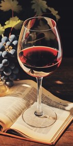 Poszter 50x100cm Történelem csokor