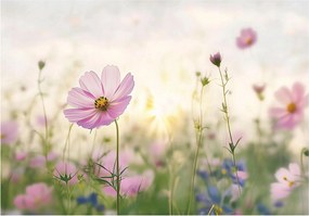 Fotótapéta Levelek Flizelin Virág rét virág fotótapéta ragasztó 415