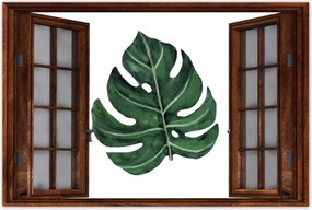 Poszter 60x40 Monstera Zöld levél