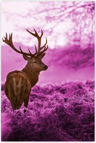 Poszter 60x90 Szarvas a lila erdőben