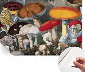 Öntapadós tapéta Fali furnér 3D hatás Botanikus gombák 104x70 cm