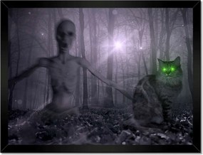 Poszterek keretben 40x30 Macska Alien Lime Macskák